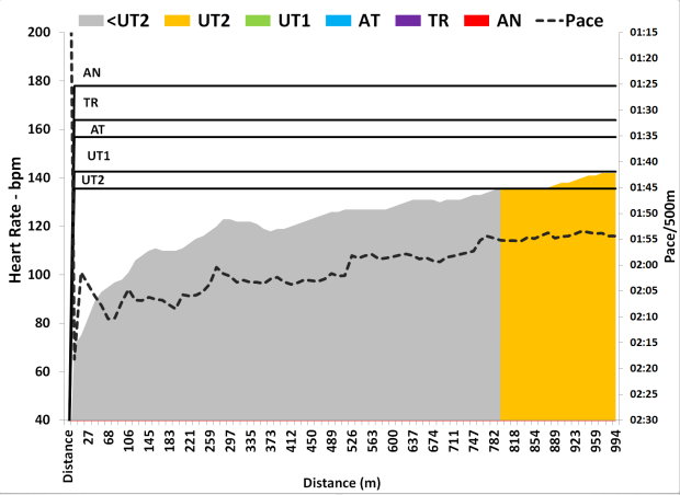 Screen Shot 2015-12-06 at 4.59.47 PM