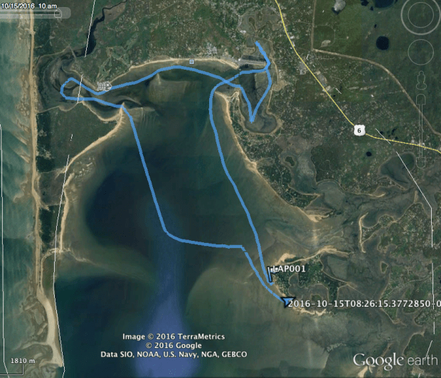 Screen Shot 2016-10-16 at 8.28.22 AM.png