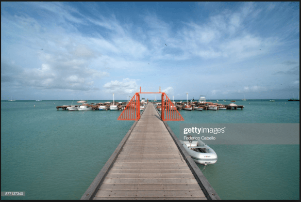 Screen Shot 2019-02-24 at 11.03.48 AM.png