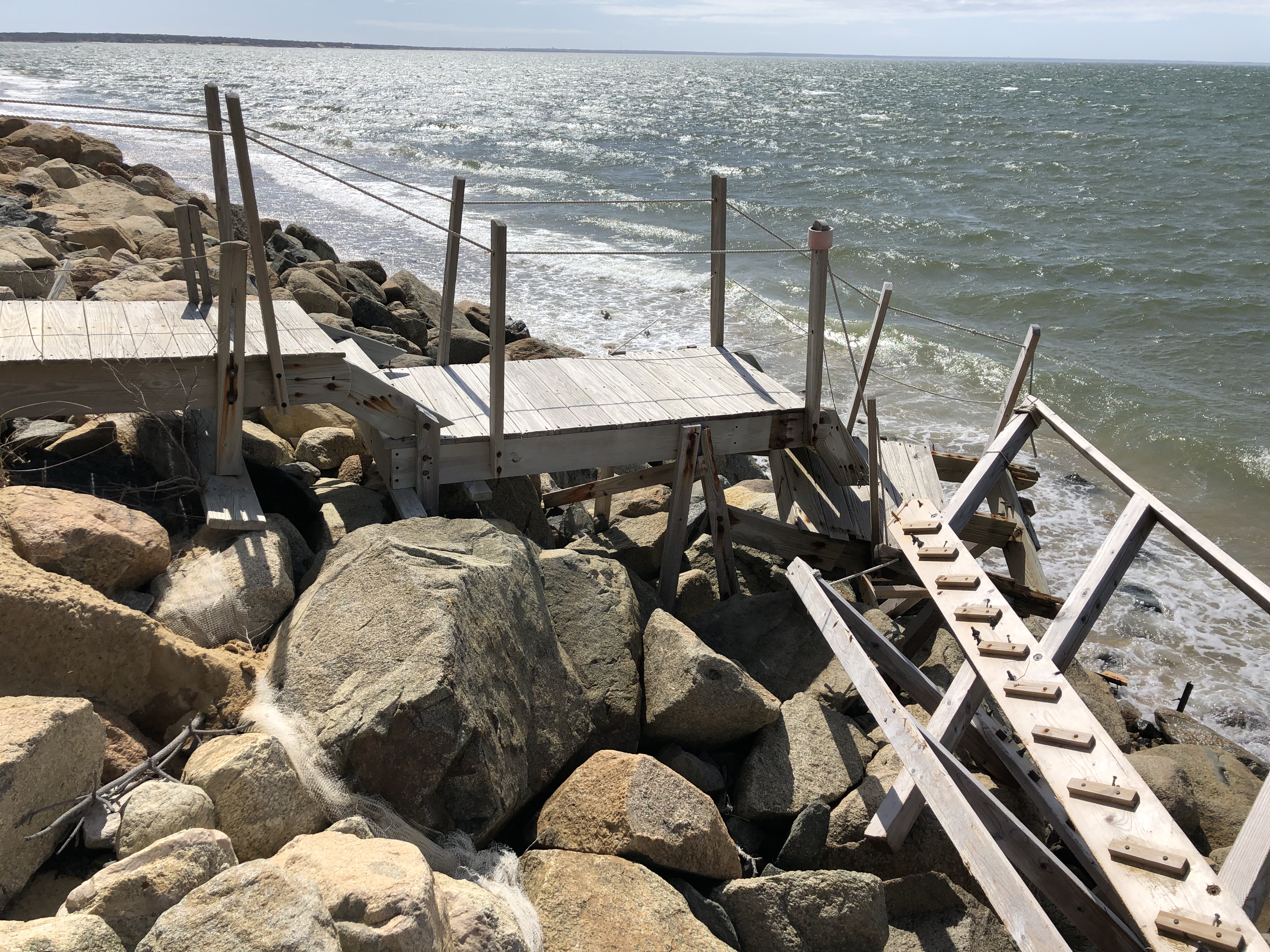 2019-03-31 11.51.15.jpg