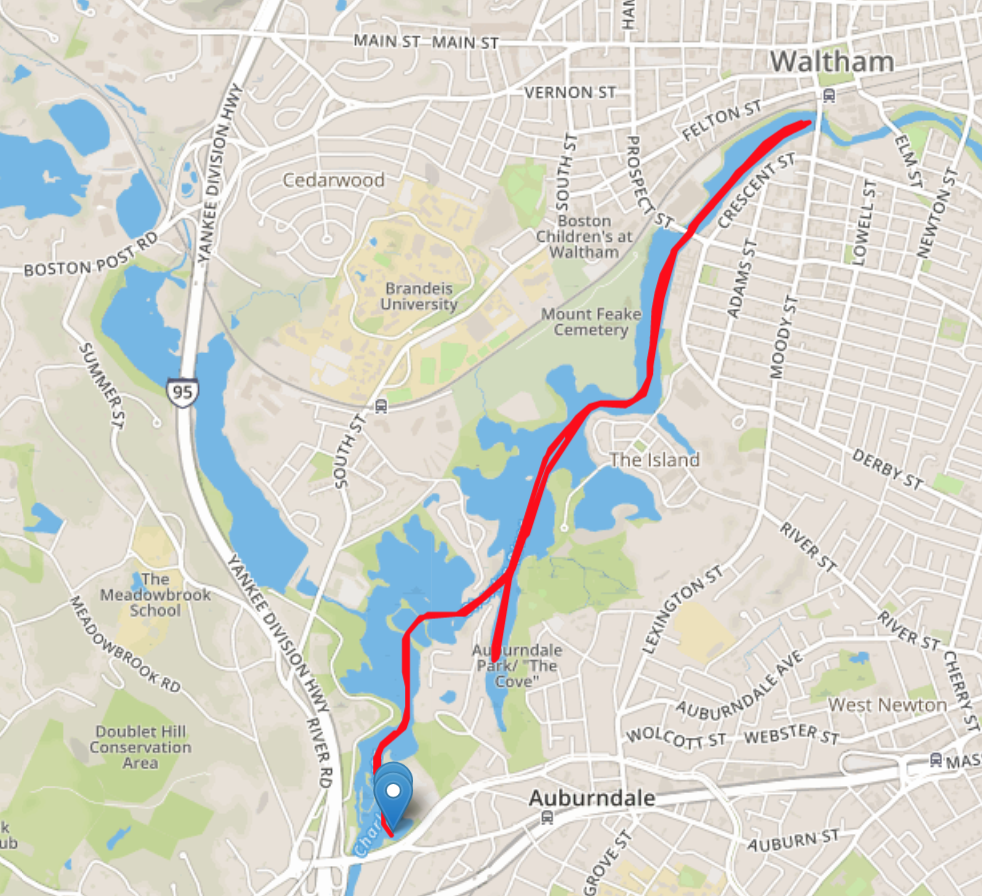 Screen Shot 2019-05-04 at 9.03.59 PM