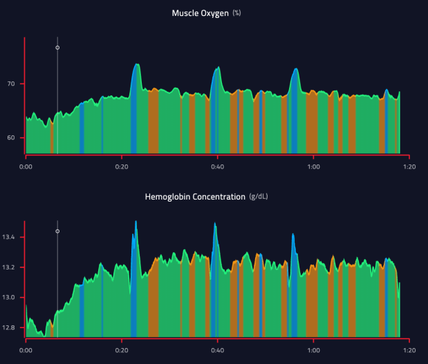 Screen Shot 2019-06-16 at 1.08.35 PM.png