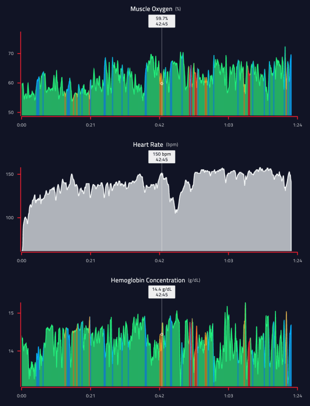 Screen Shot 2019-08-11 at 12.00.14 AM.png