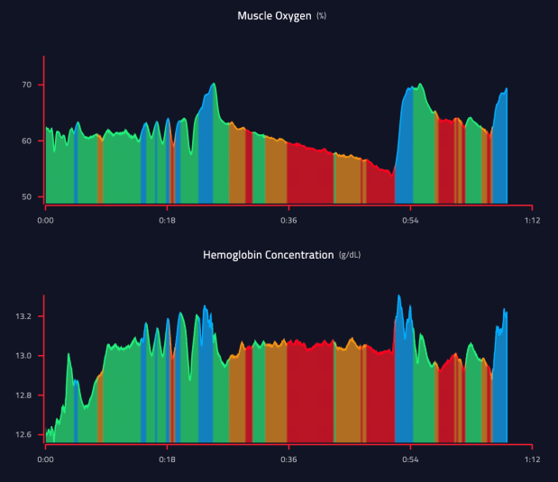 Screen Shot 2019-08-11 at 12.24.17 AM.png