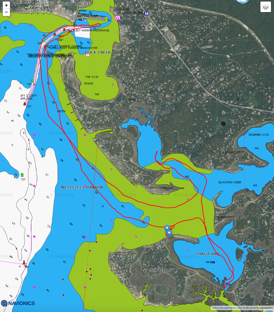 Screen Shot 2019-08-19 at 3.32.06 PM