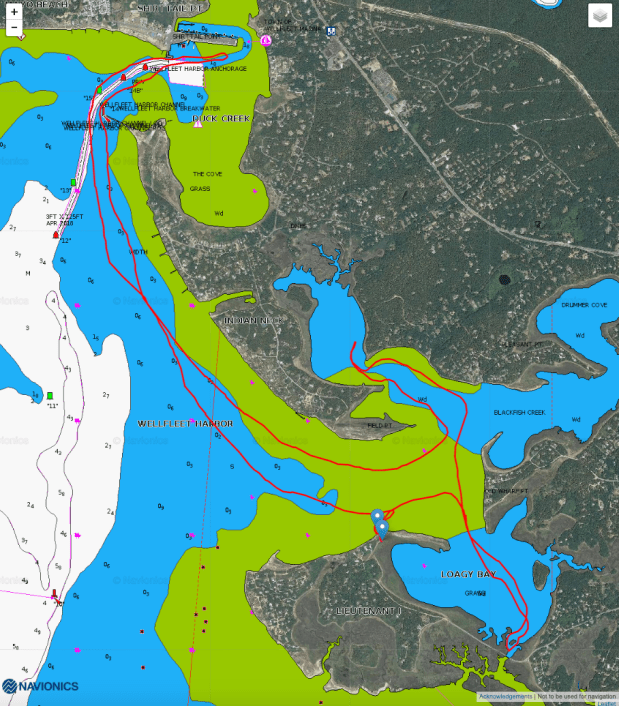 Screen Shot 2019-08-19 at 3.32.06 PM